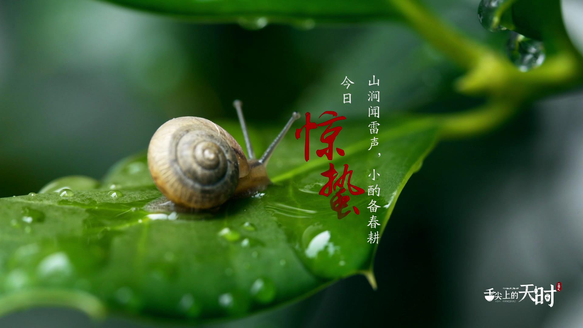 &#20048;&#25237;&#32593;&#39029;&#29256;&#45;&#20048;&#25237;&#65288;&#20013;&#22269;&#65289;